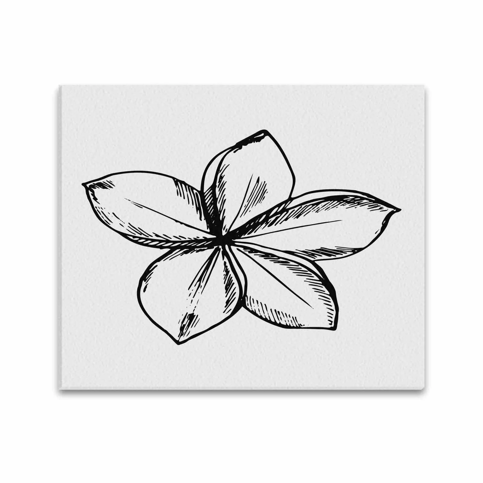 Decorative Wall Art / Black and White Canvas Floral Print