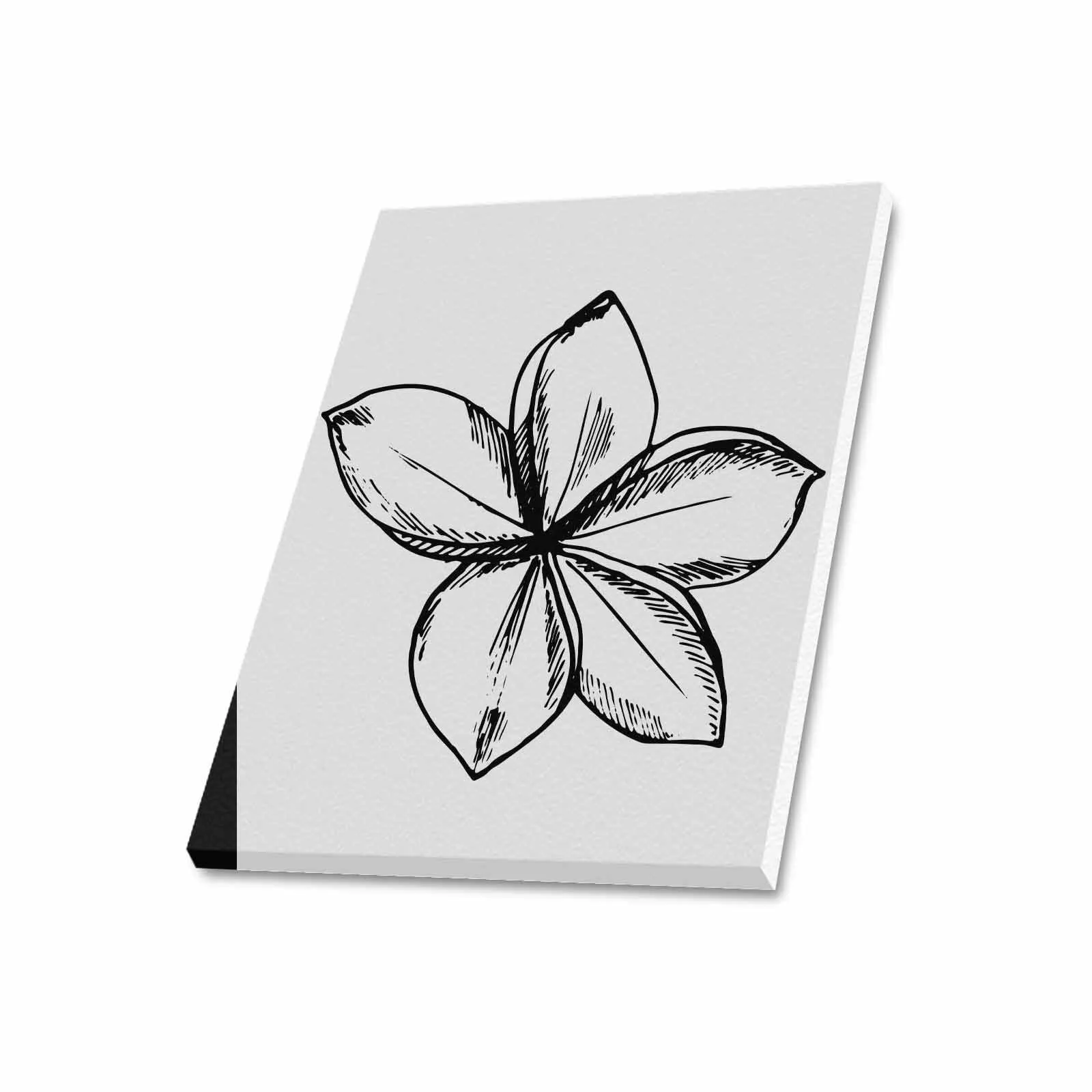 Decorative Wall Art / Black and White Canvas Floral Print