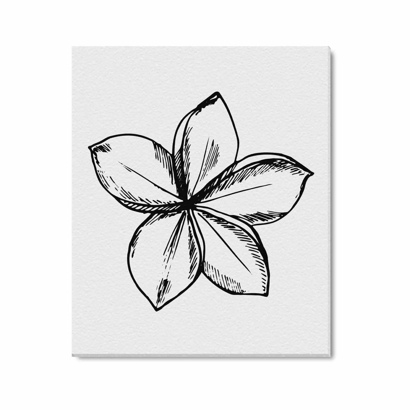 Decorative Wall Art / Black and White Canvas Floral Print