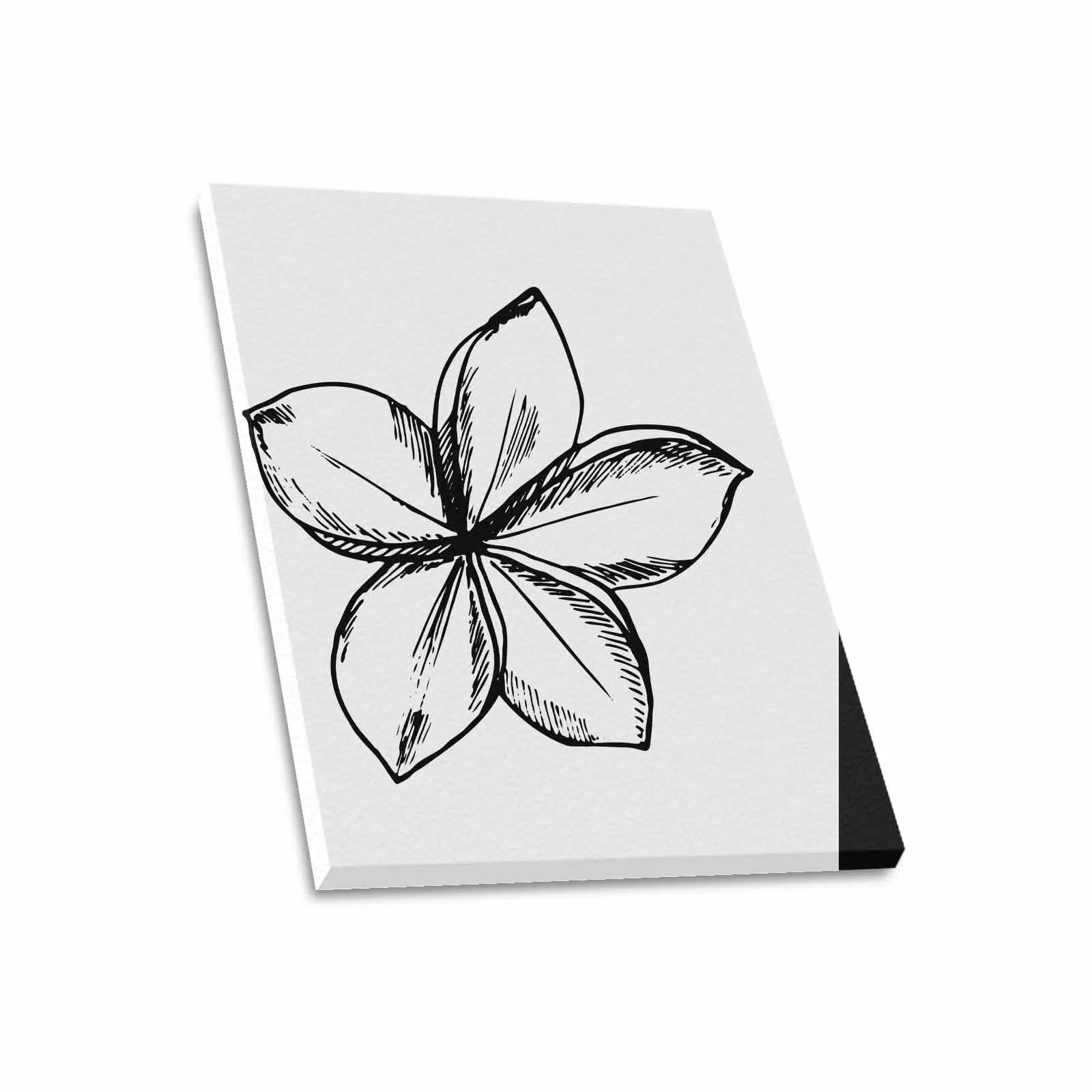 Decorative Wall Art / Black and White Canvas Floral Print