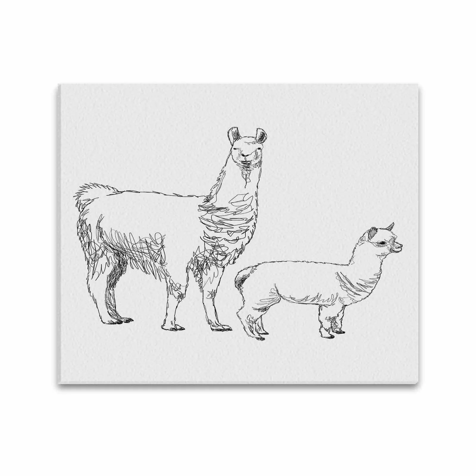 Uniquely You Wall Art / Llama  Frame Canvas Print 20"x24"