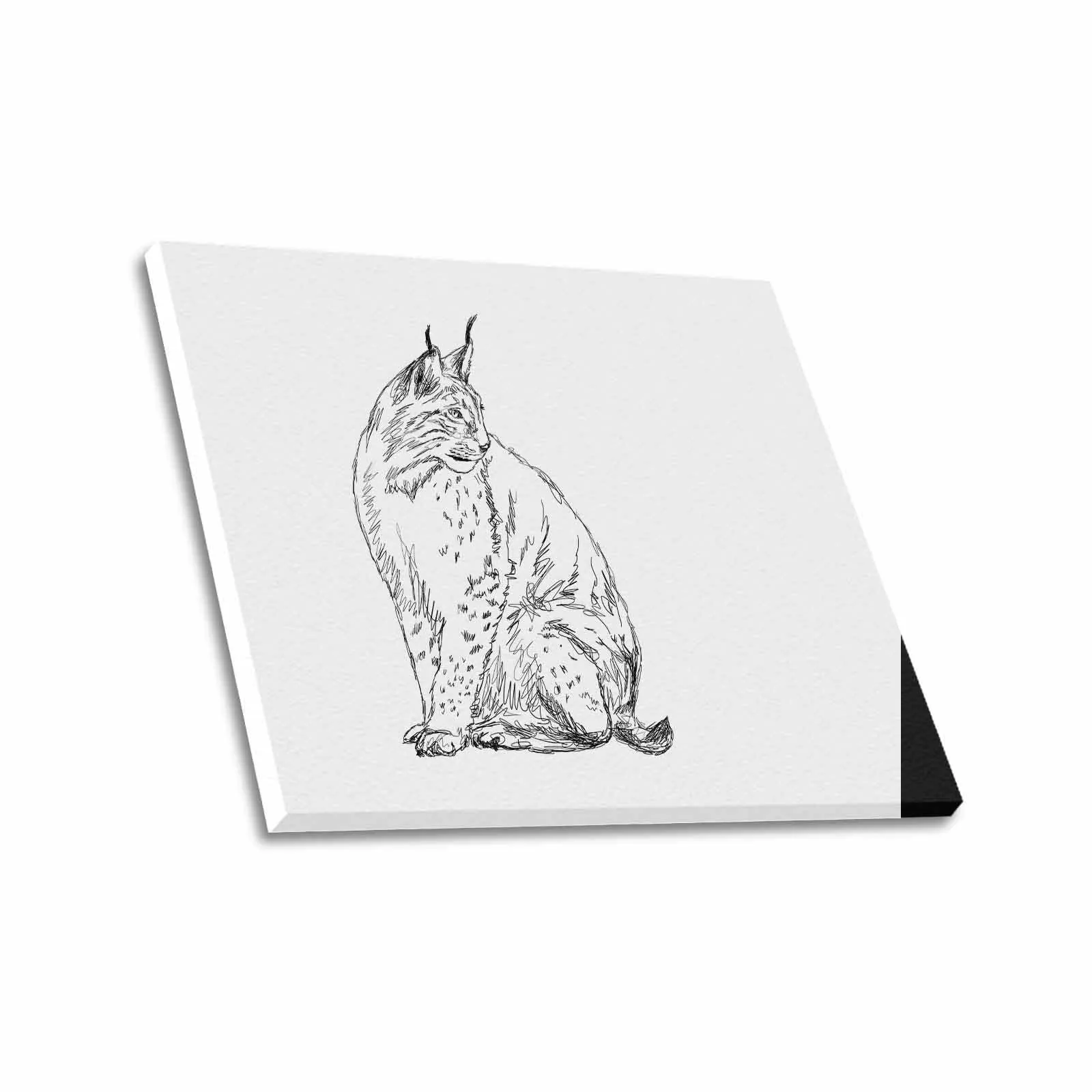 Uniquely You Wall Art / Lynx  Frame Canvas Print 24"x20"