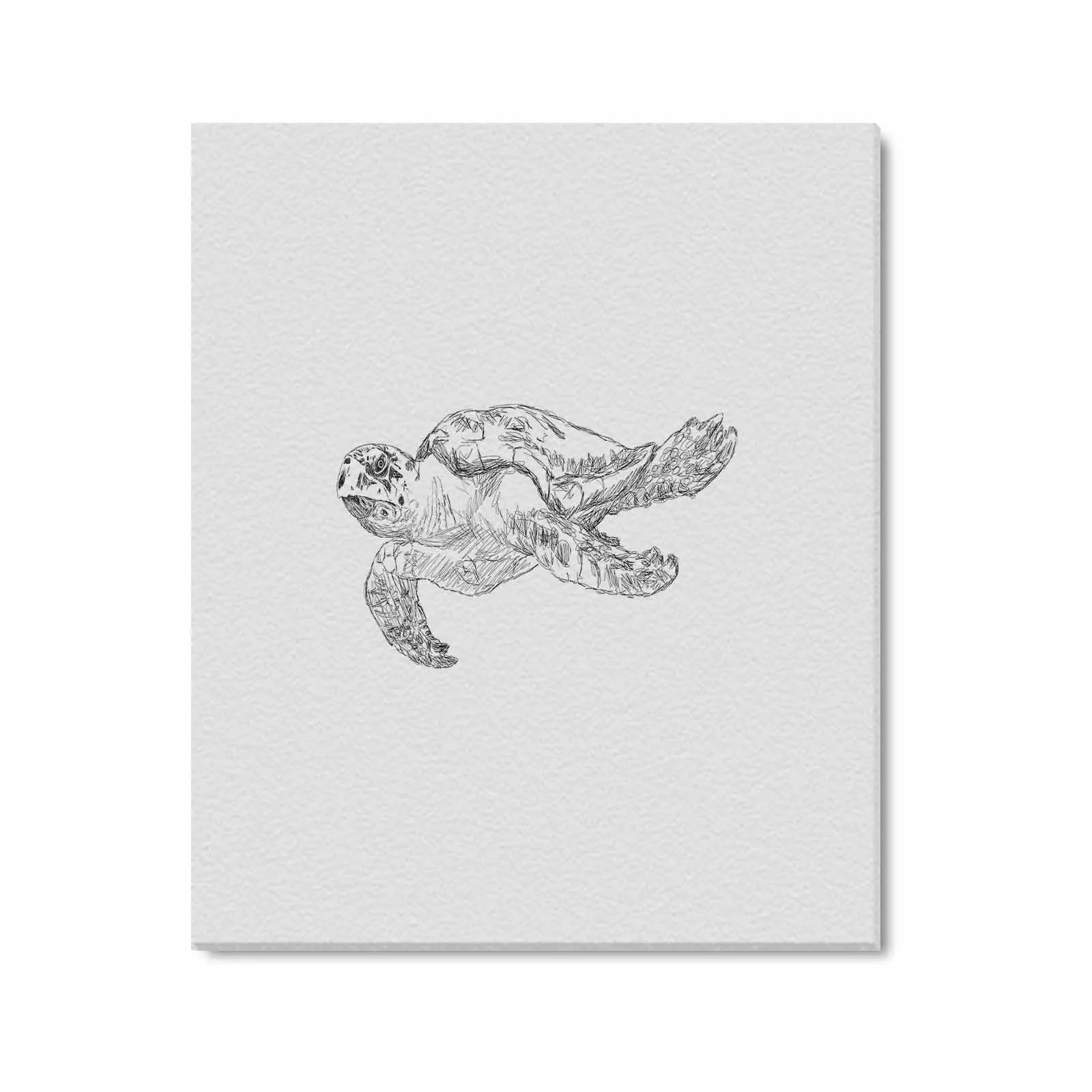 Uniquely You Wall Art / Sea Turtle  Frame Canvas Print 24"x20"