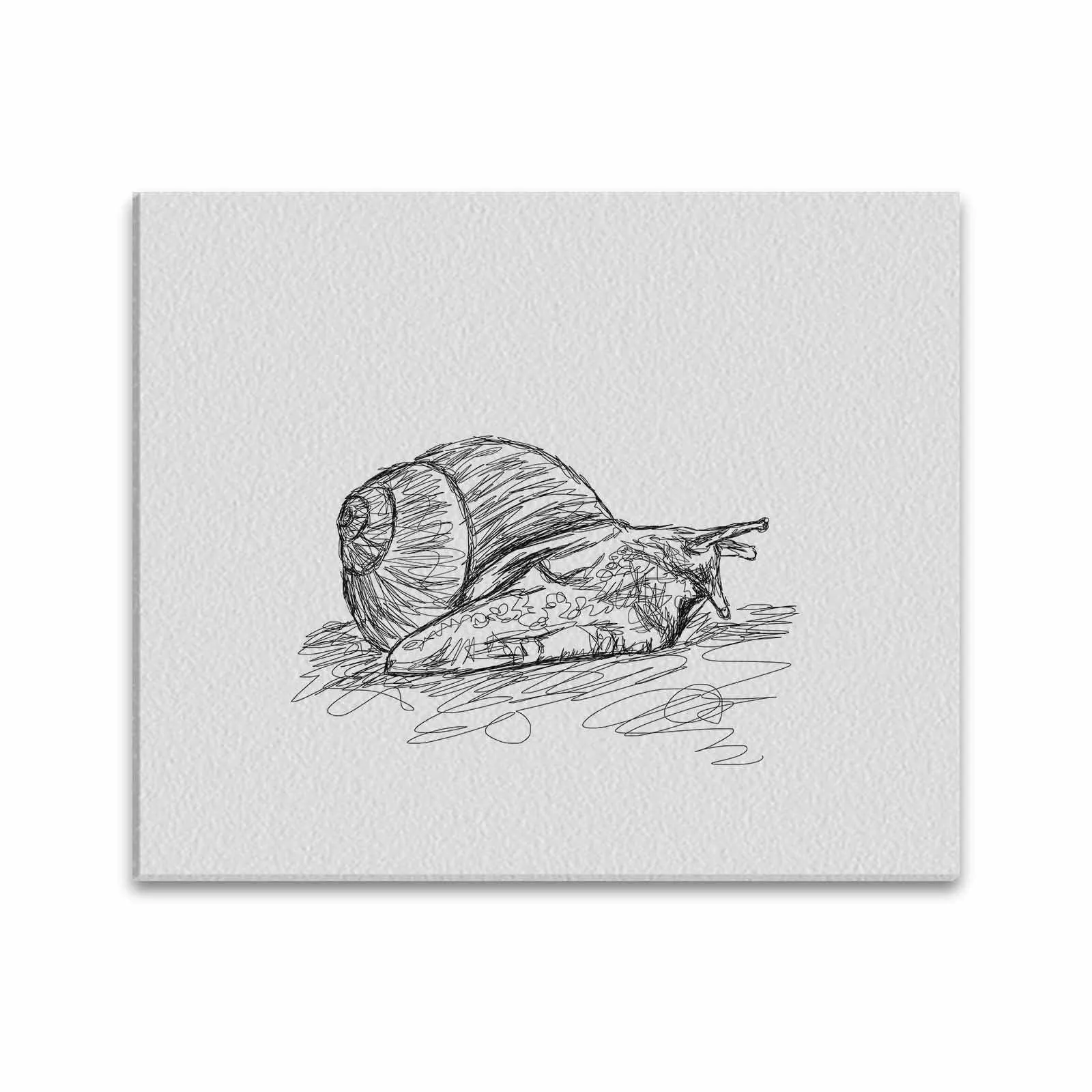 Uniquely You Wall Art / Snail  Frame Canvas Print 24"x20"